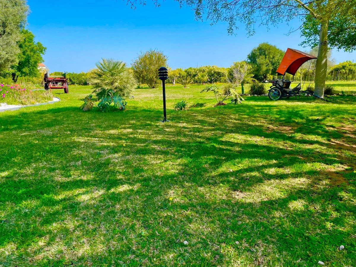Casa Pepa Con Encanto Ondara Ngoại thất bức ảnh